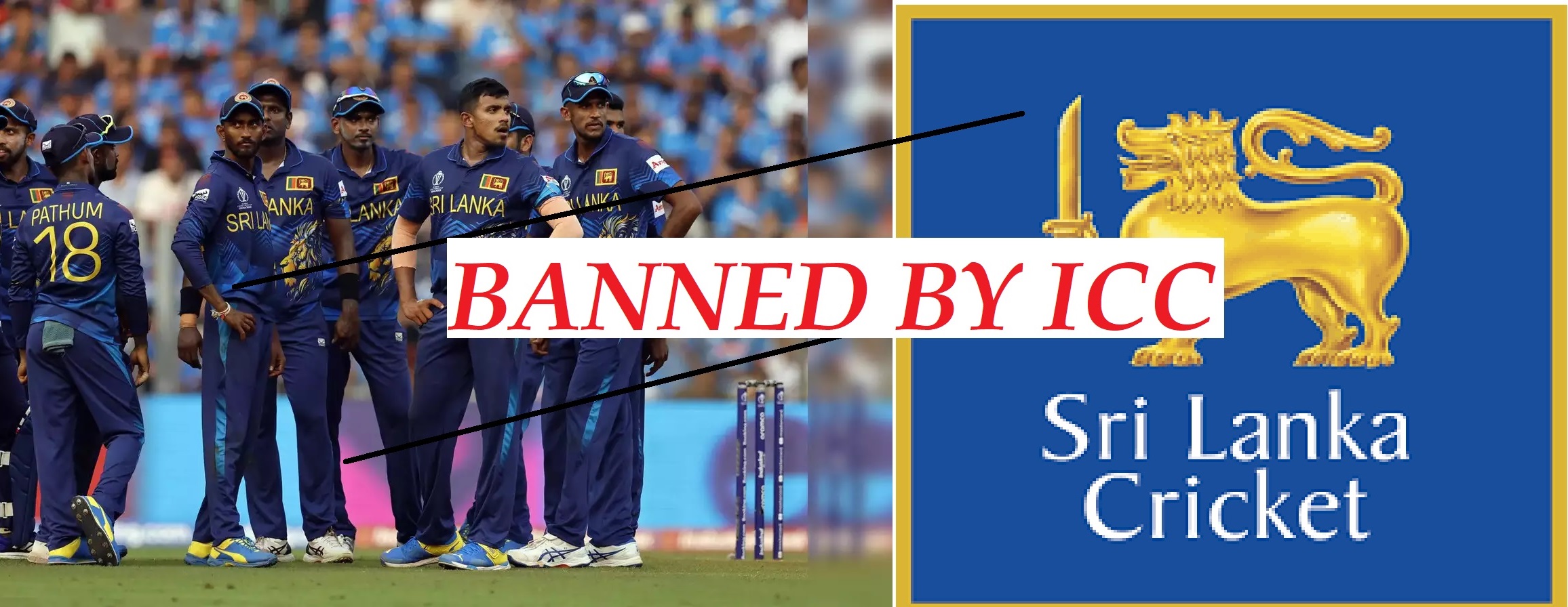 sri lanka cricket banned