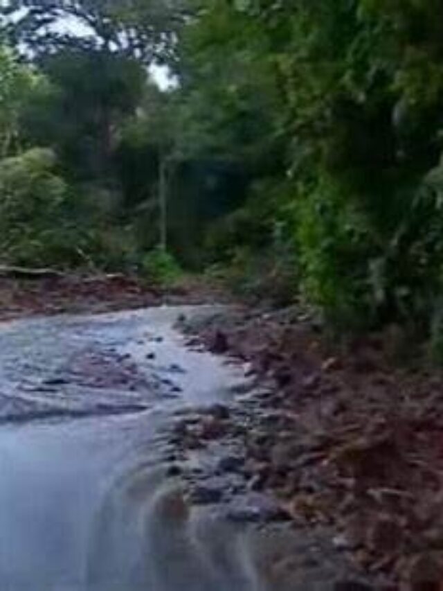 Idukki Road Damaged due to Landslides