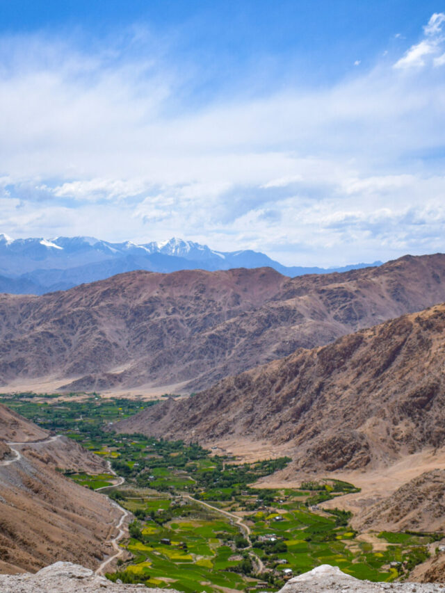 Landscapes.ladakh (1)