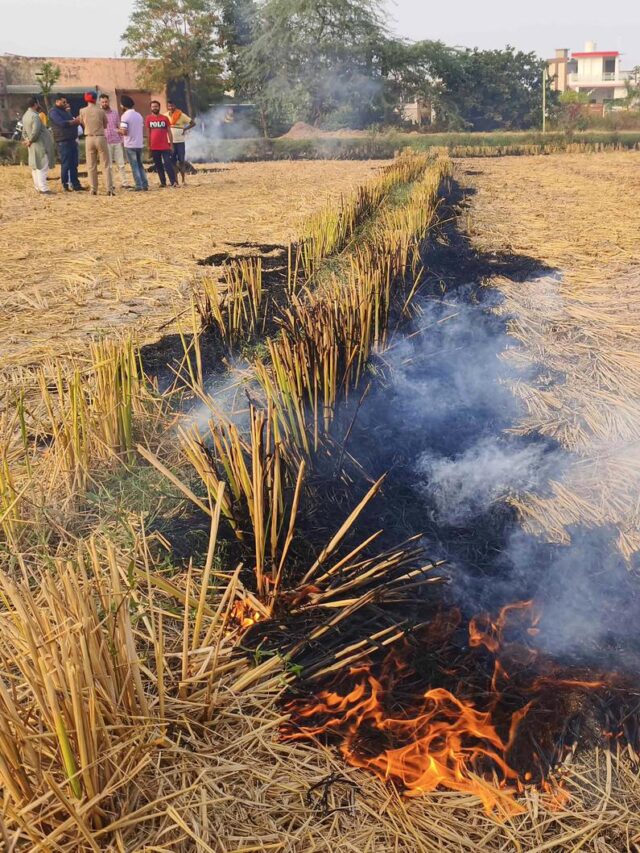 Punjab Stubble Burning