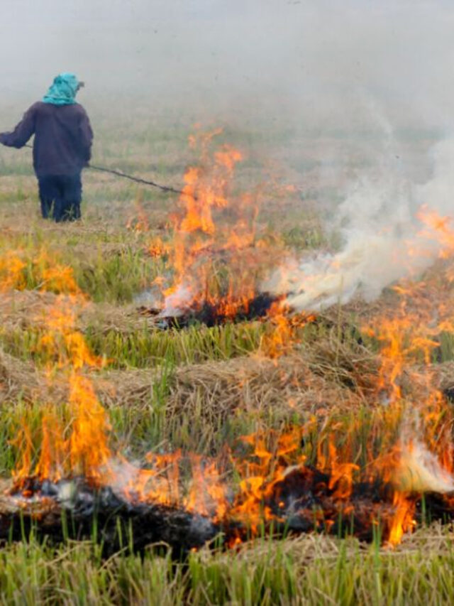 Stubble Burning in Punjab